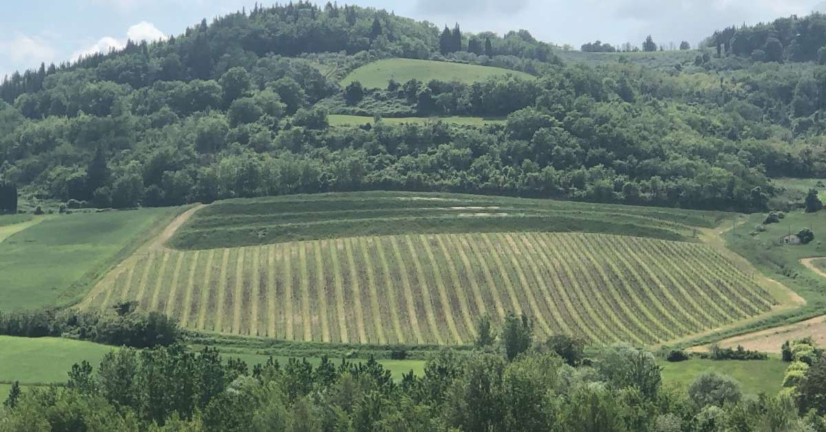 Map of Wine regions in Italy -Chianti Vineyard