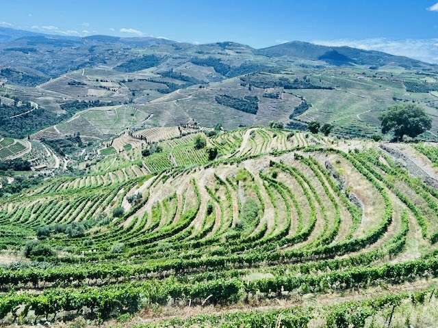 Wine Regions of Portugal - Douro Valley