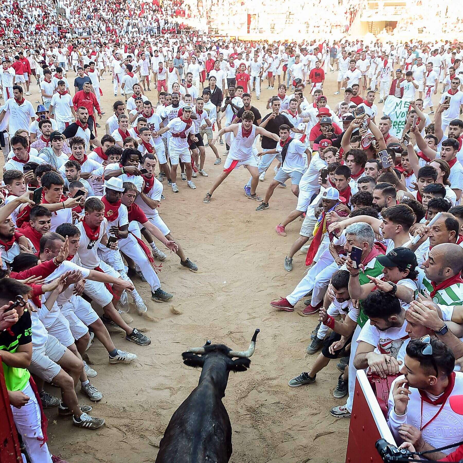 Running of the Bulls - Pamplona