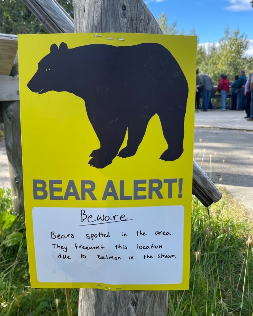 When is the Best time to Visit Alaska? Bear Alert sign