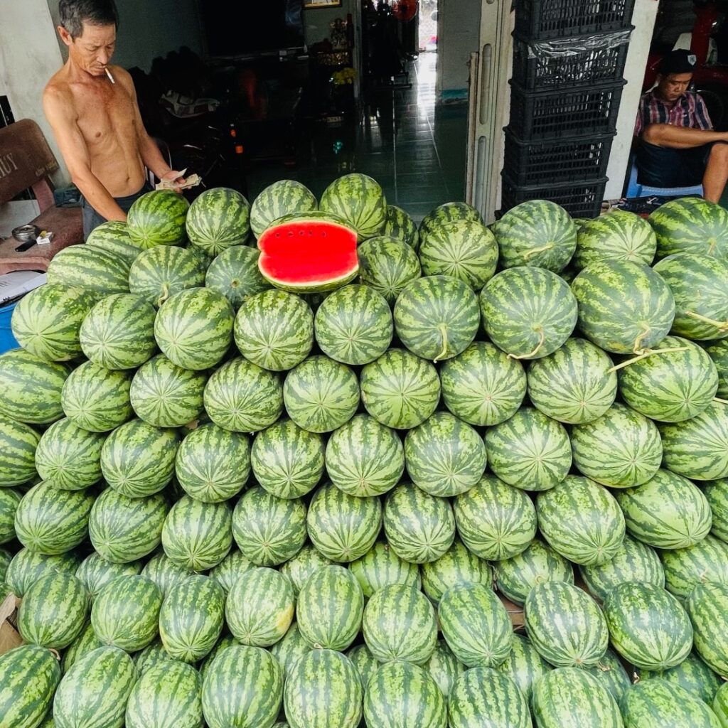 Cai Rang Floating market - Watermelons stacked high Best time to visit vietnam
