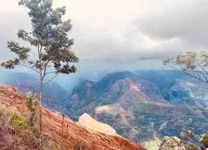 Cos’s Travel Guide