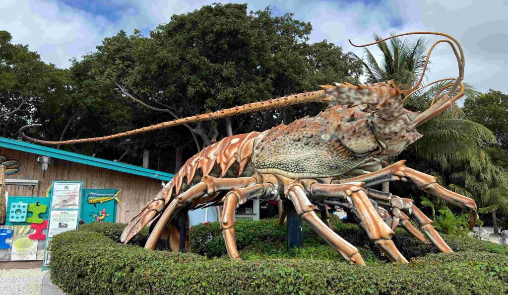 Key Westfor Couples - Lobster