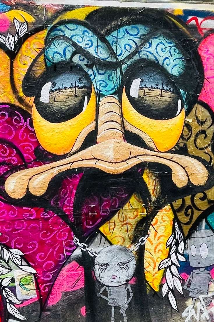 Graffiti picture of interesting face