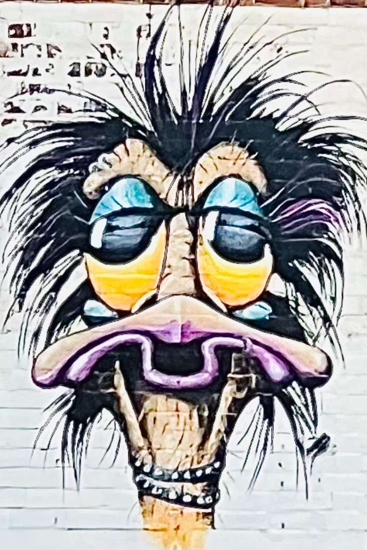 Graffiti Picture of Interesting Face