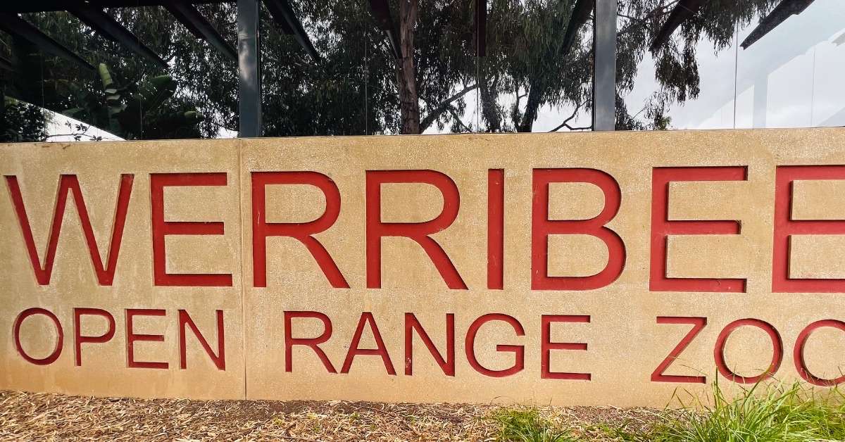 Cos’s Travel Guide