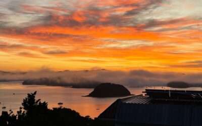 New Zealand Travel Package & Tours 2025/2026