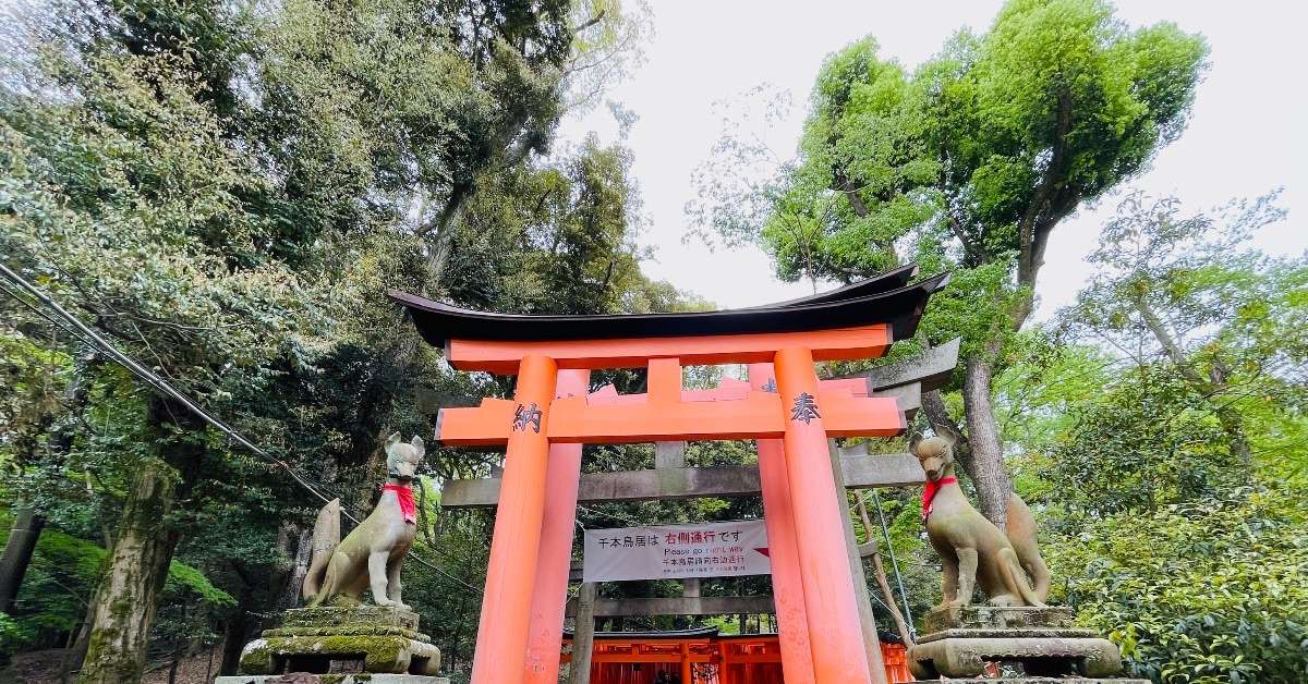 Torii Gate