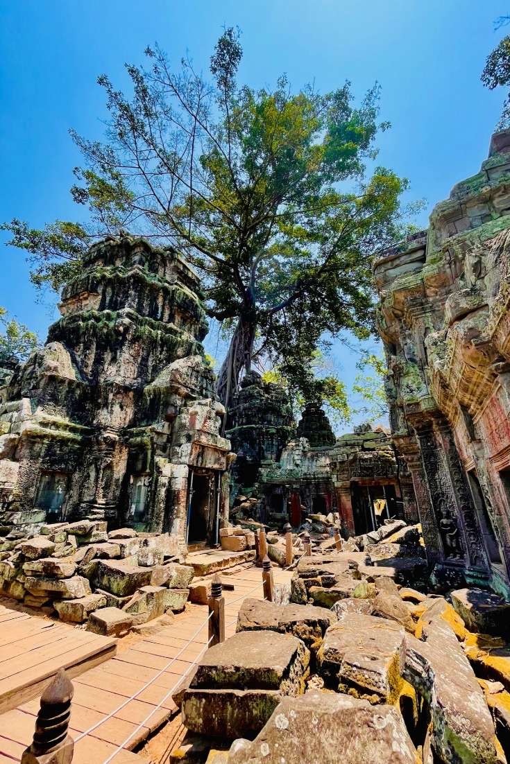 Best time to Visit Cambodia: the Ta Prohm Temple