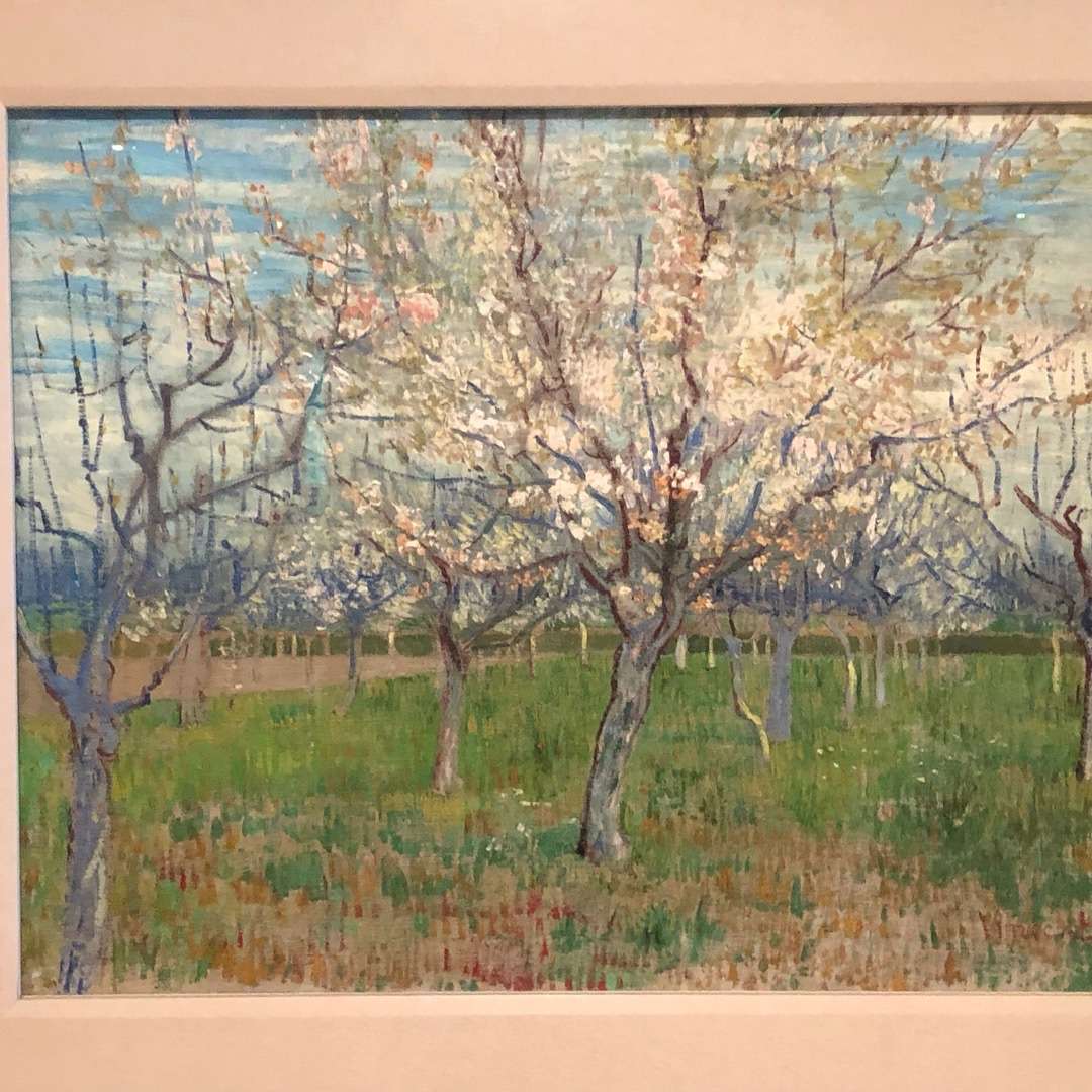 Must visit on the Amsterdam 3-day Itinerary: Famous van Gogh Painting of Trees