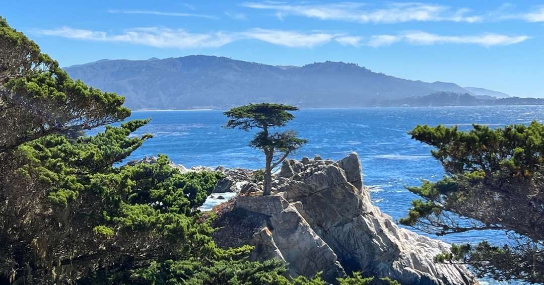 Best road trips for couples Solitary tree on rock outcropping- the "Lone Cypress" in Montery Bay.