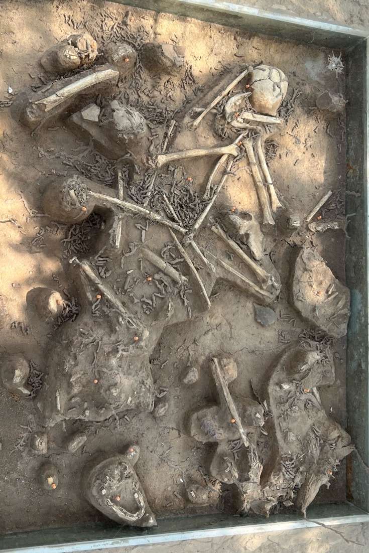 Best Time to Visit Cambodia -Bones on Ground