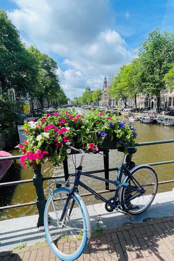 Is Amsterdam Worth Visiting? Canals, Bikes and Flowers