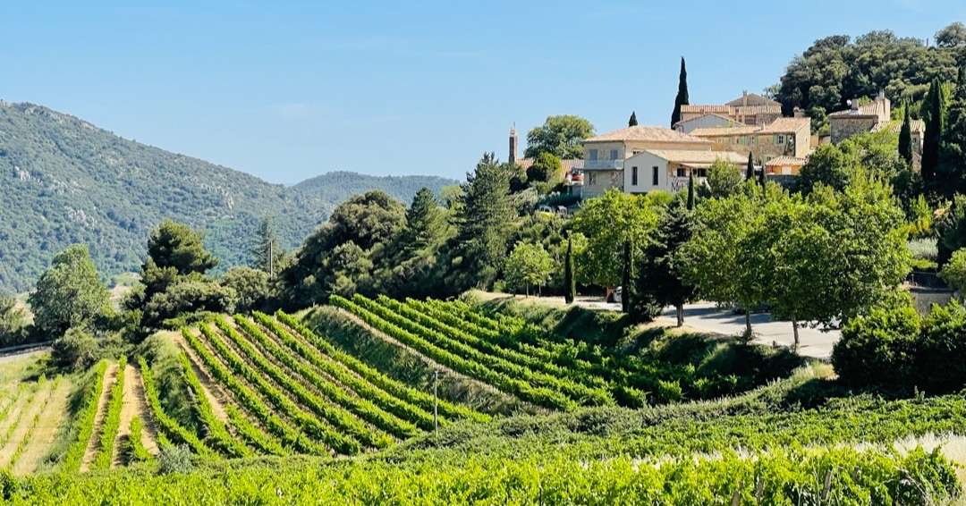 planning a trip to France -Vinyard on hill with town