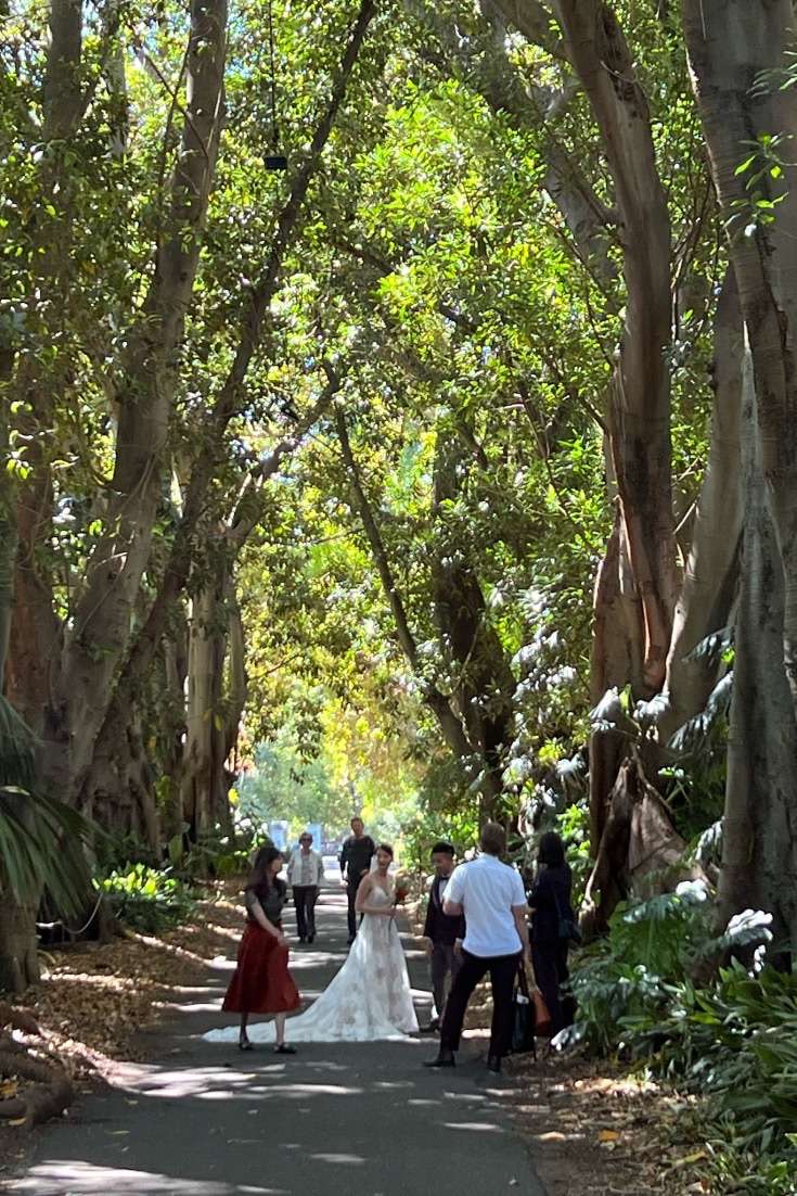 World Botanical Gardens -wedding
