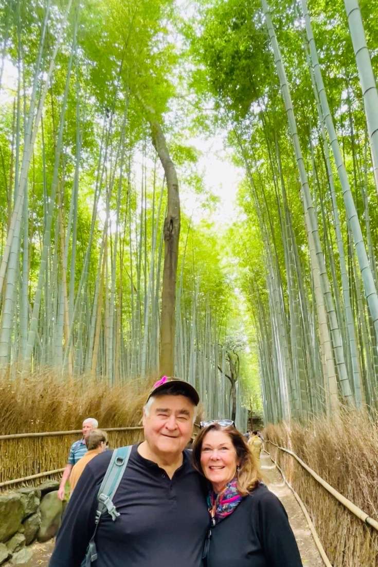 Traveling to Japan for the First Time - Kyoto Bamboo Forest