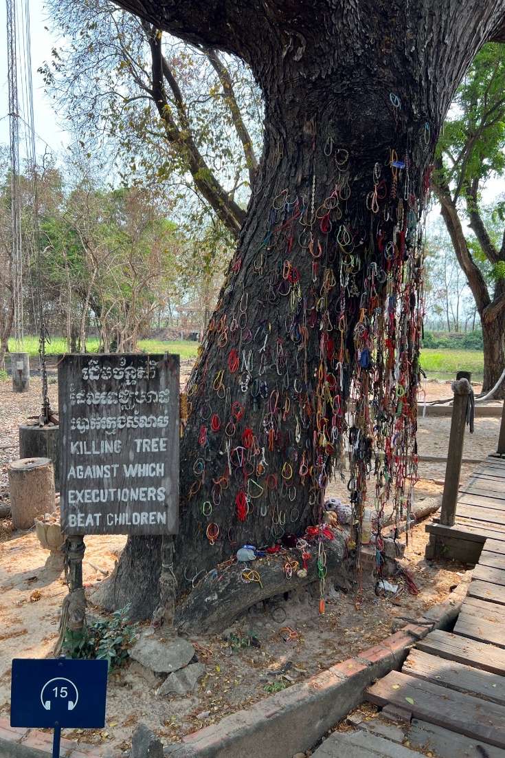 Best time to Visit Cambodia - Phnom Penh Chains on tree where children were beaten