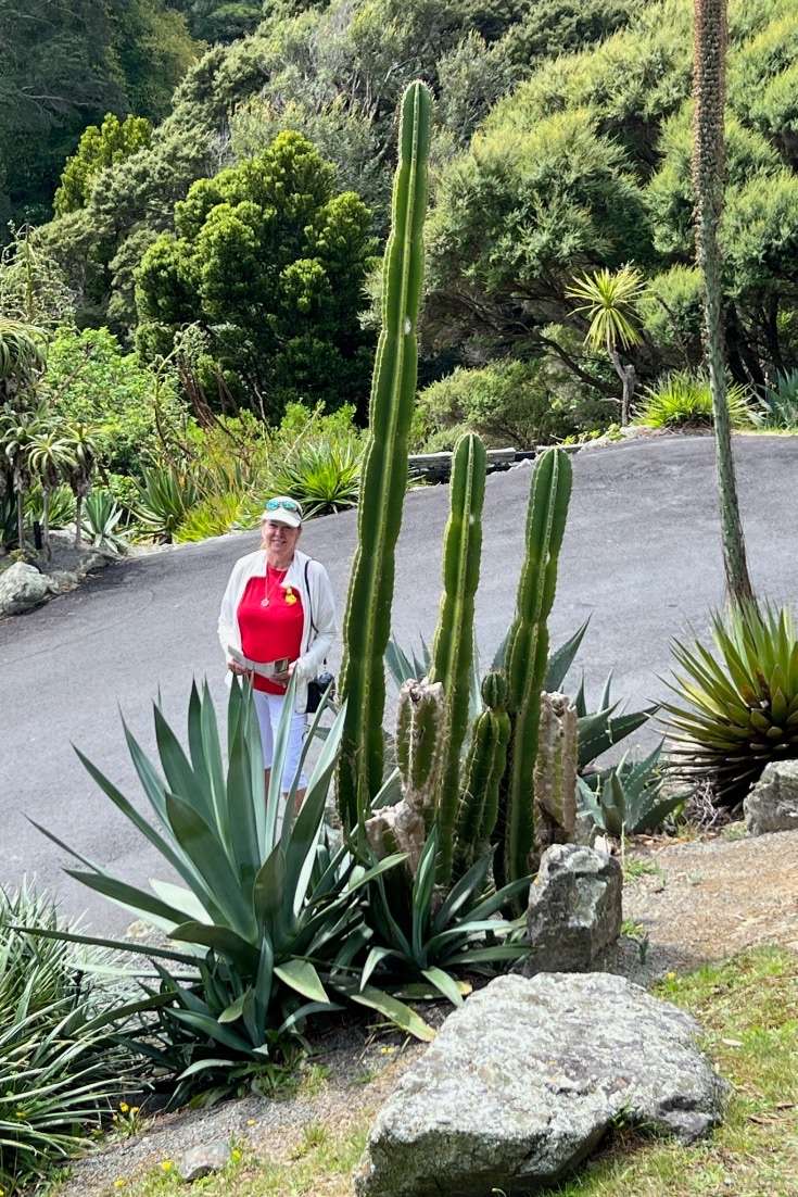 World Botanical Gardens -cactus