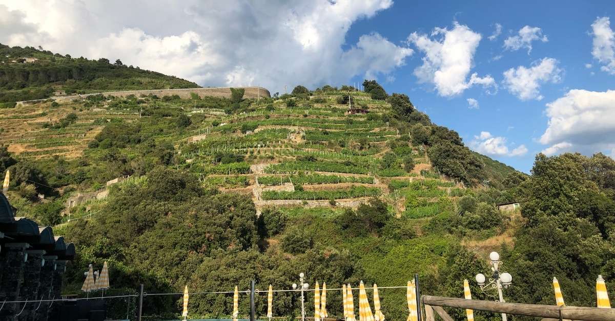 Cos’s Travel Guide