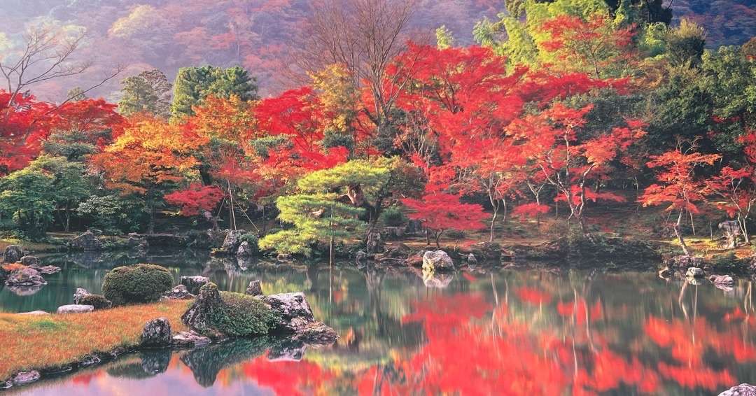 World Botanical Gardens - trees and lake fall