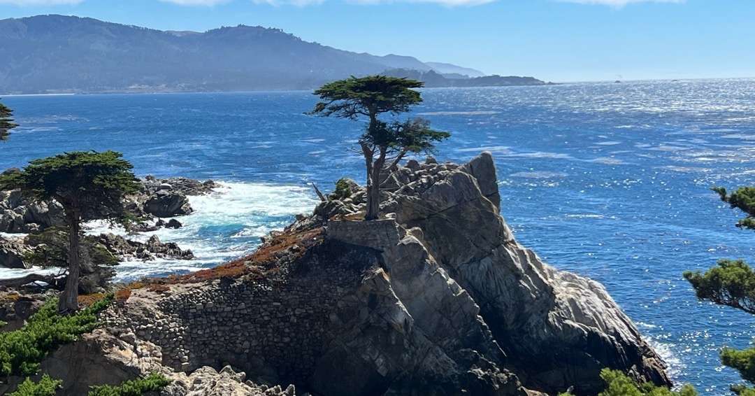 Road Trips from San Francisco: Lone Cypress
