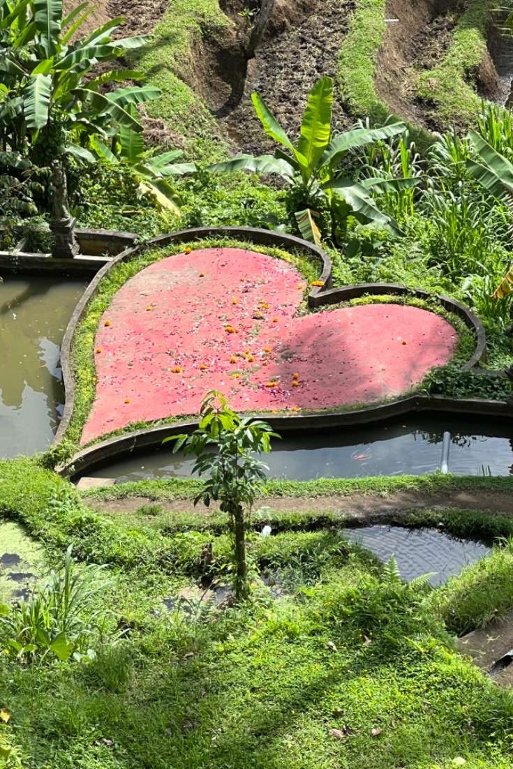 Where to Stay in Bali: Ubud, close to visiting and enjoying the beautiful land and this heart design