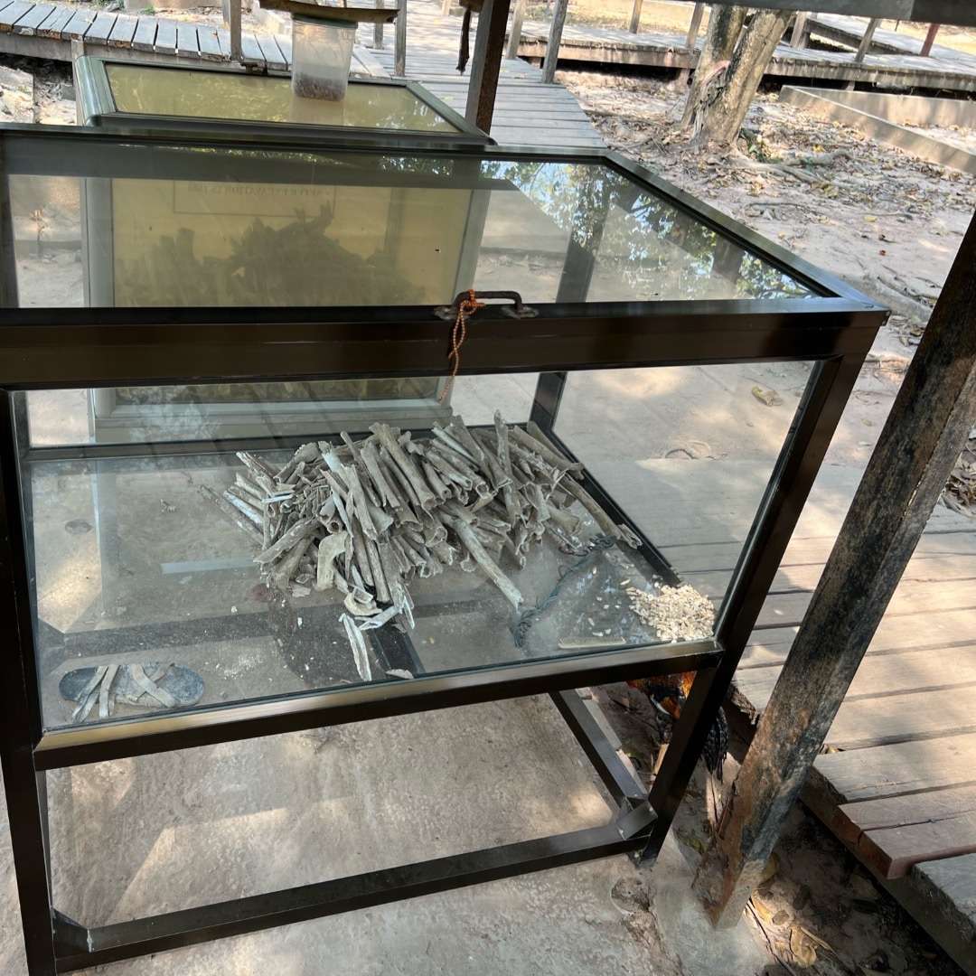 Best Time to Visit Cambodia - Phnom Penh Box with Bones