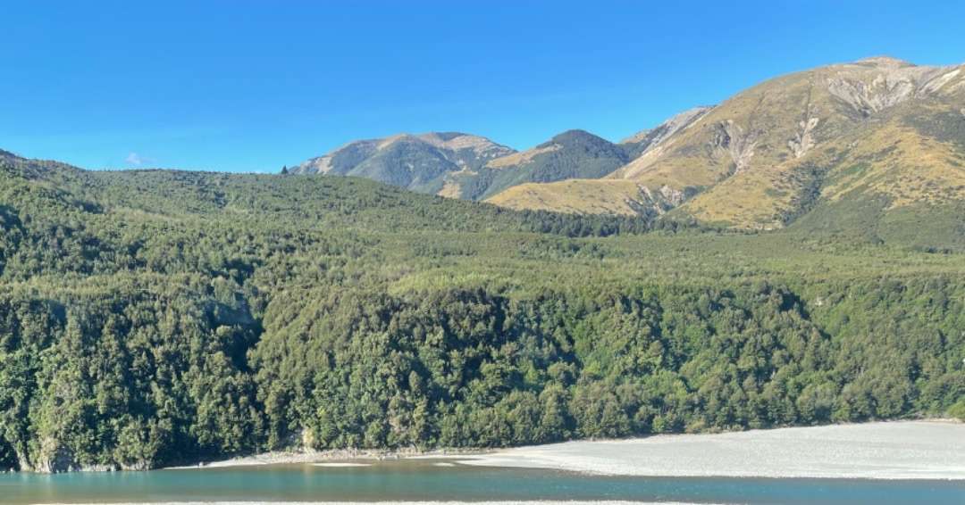 New Zealand Travel Package - Tranz Alpine