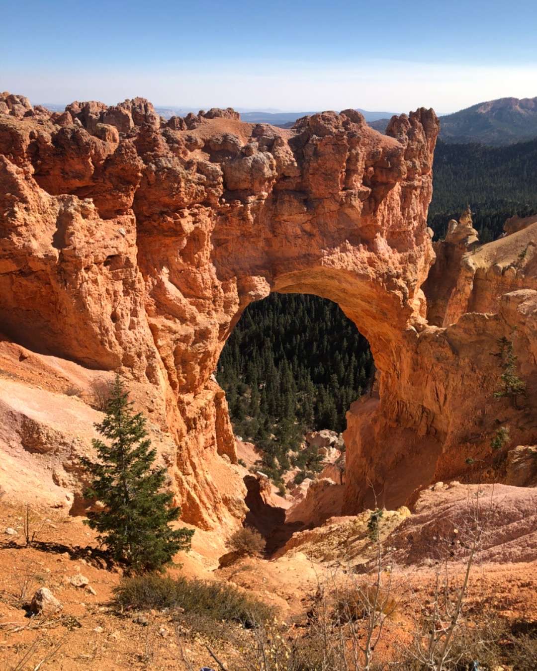 Bryce Canyon national Park Natural Bridge: Utah National Parks 5-day Itinerary from las Vegas