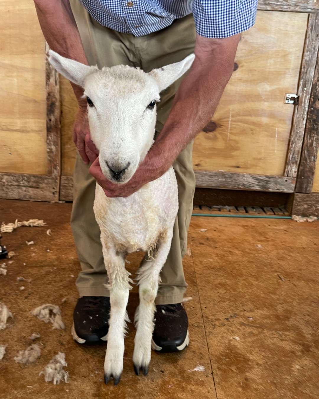 New Zealand Travel Package - Christchurch