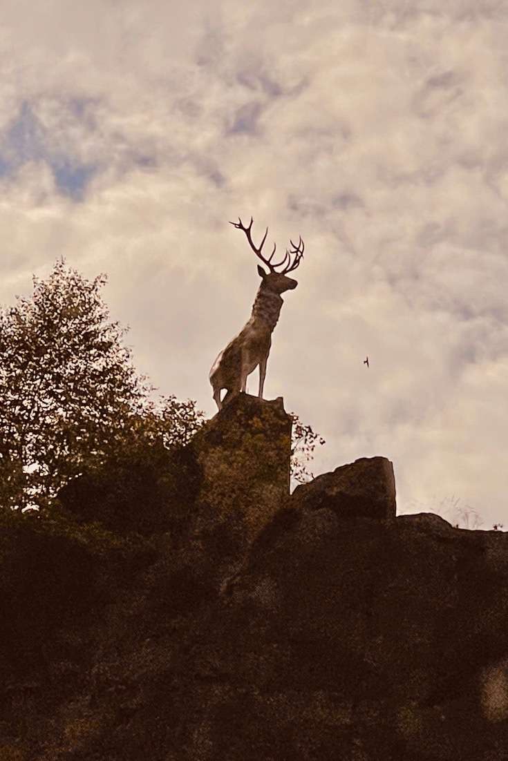 Statue of a Deer on a hill in the Black Forest
