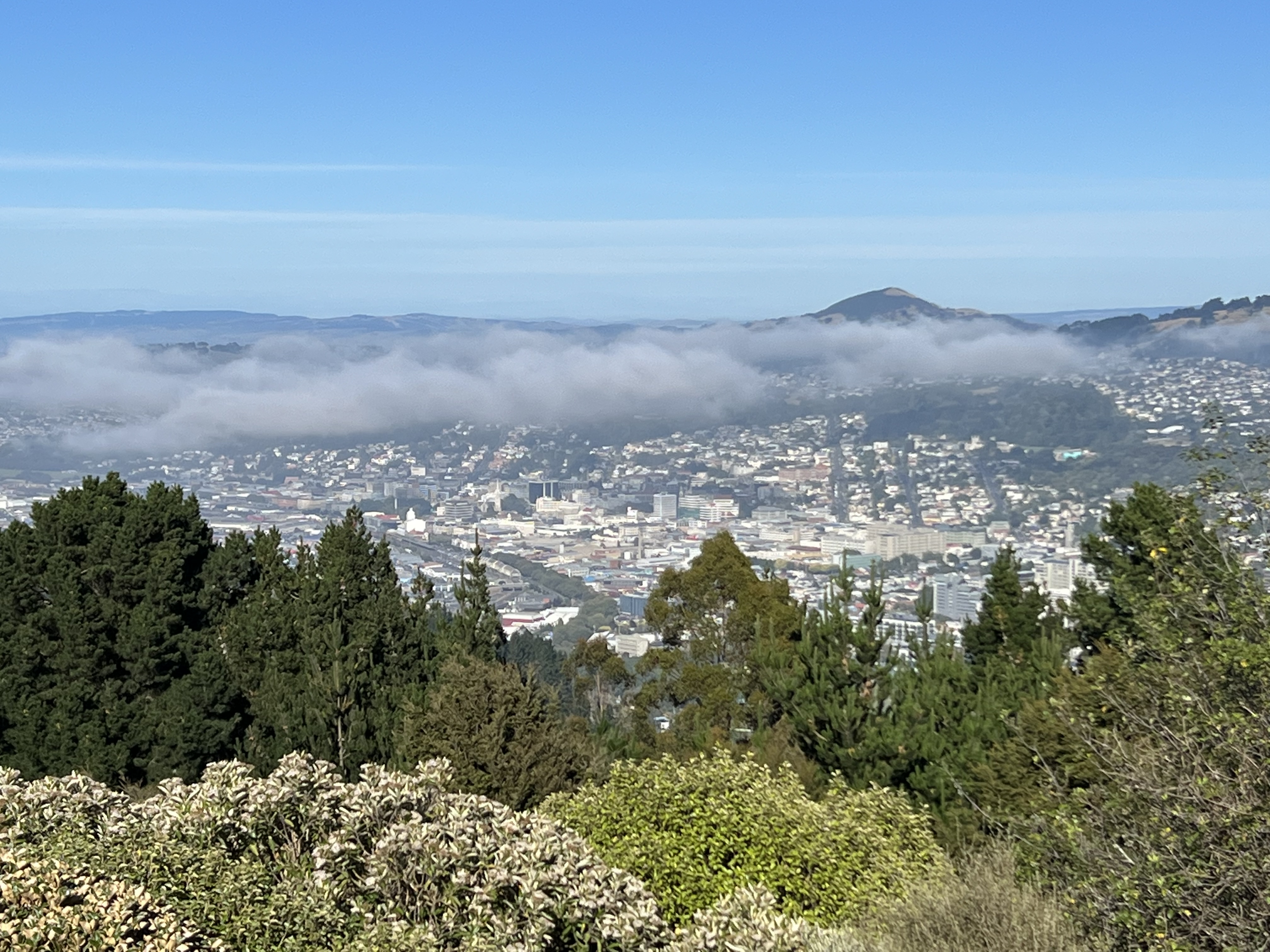 View of Dunedin from Signal Hill Lookout