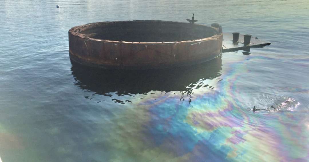 Round fish pond