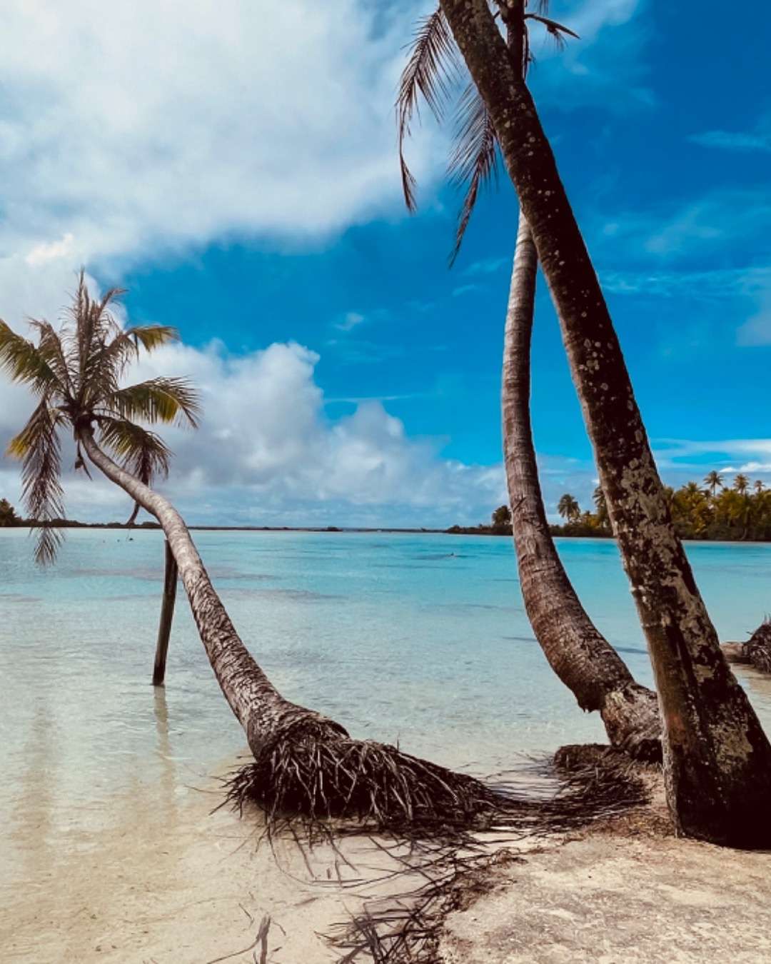 French Polynesia Beach Best Time to Visit French Polynesia