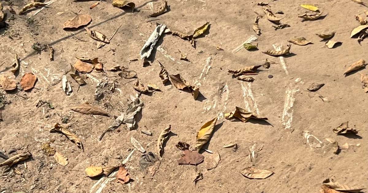 best time to Visit Cambodia - Phnom Penh Bones in the Ground