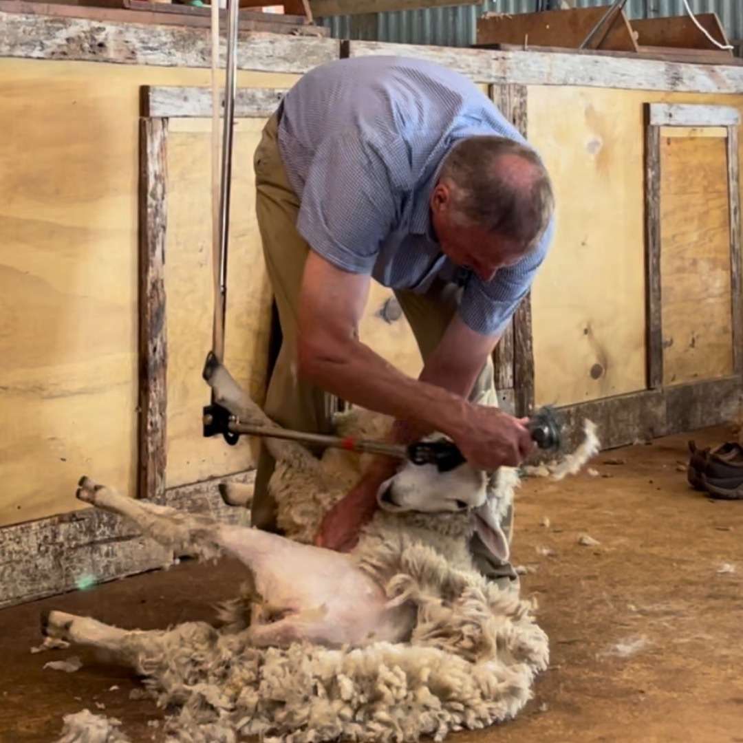 New Zealand Travel Package - Christchurch