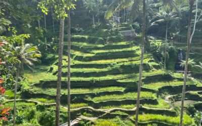 Ultimate Perfect Bali 7-Day Itinerary in Paradise