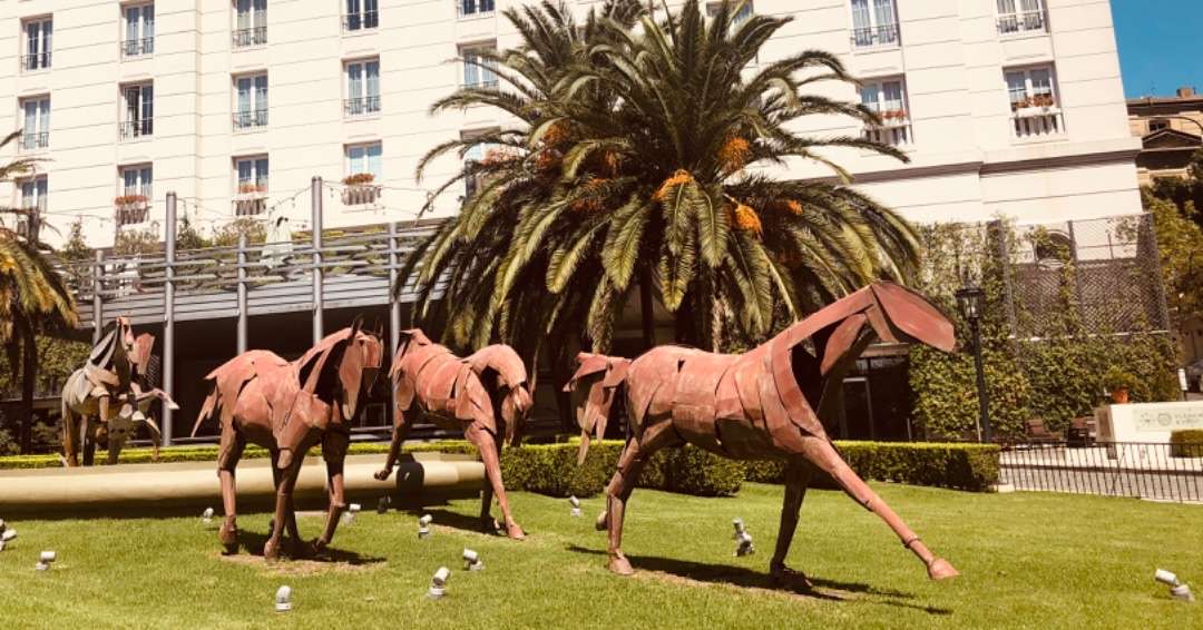 Horses in Front of the Four seasons Hotel