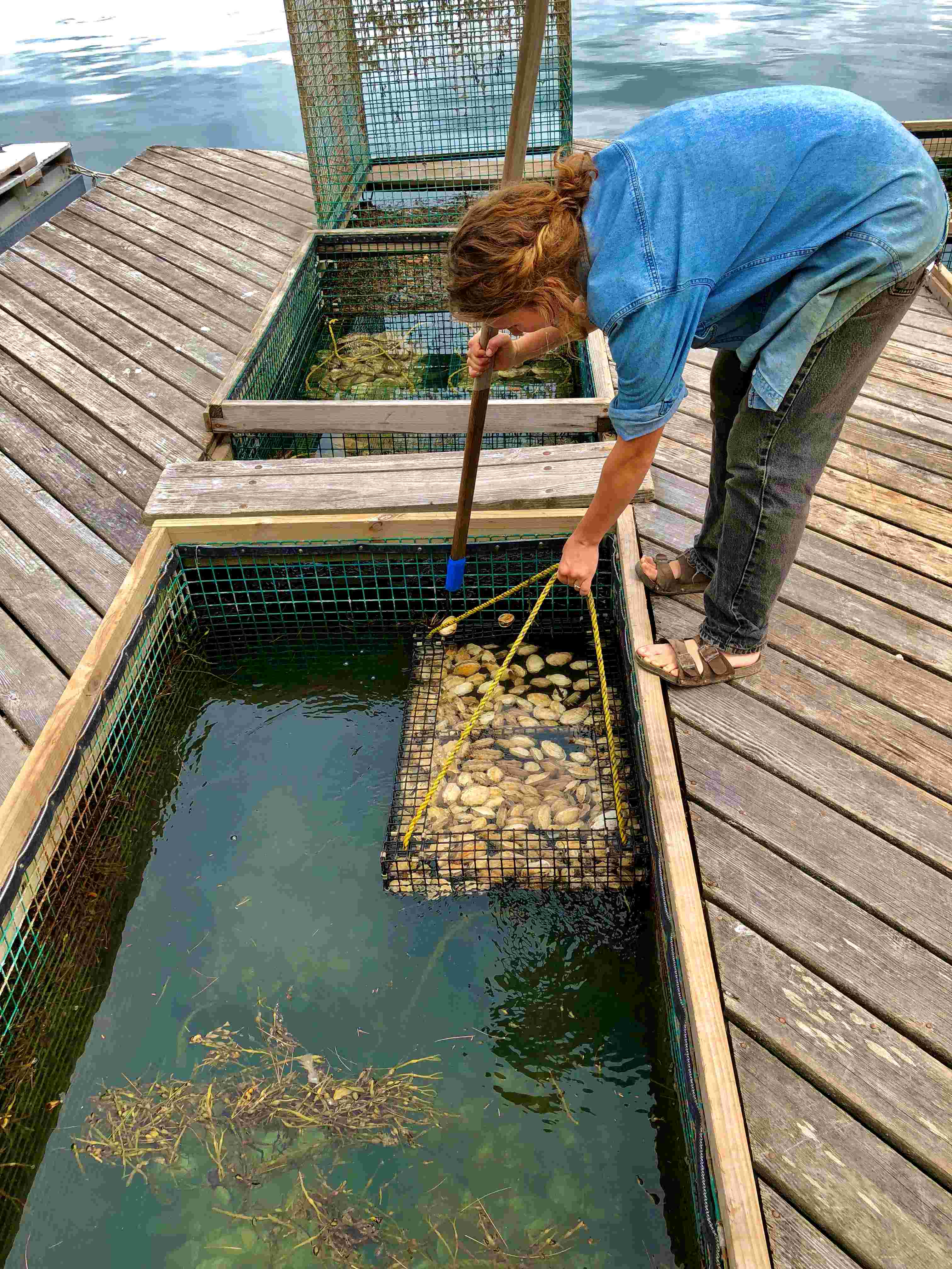 19 Best Restaurants Mid-Coast Maine oysters