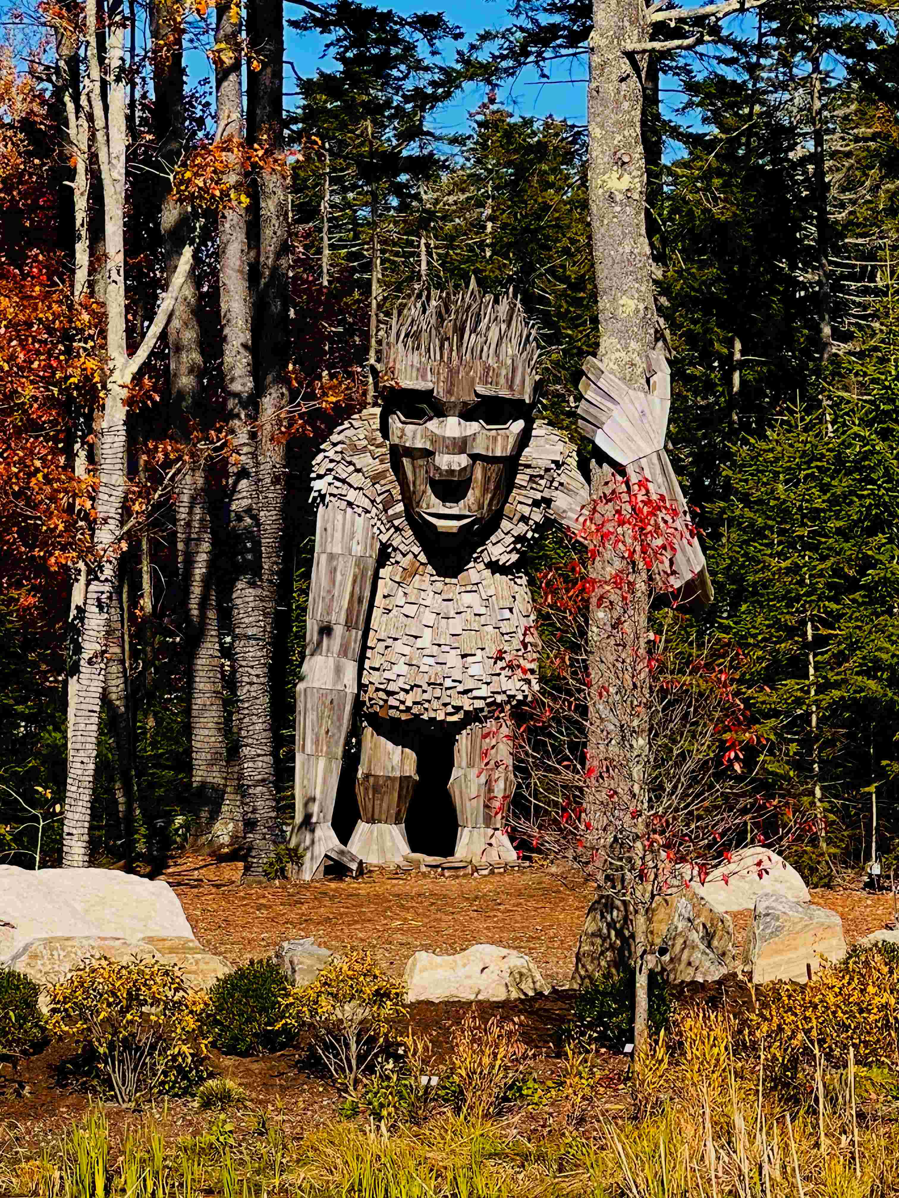 Maine in August - Trolls