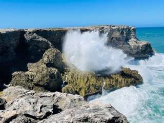 Pink Sand Beaches of Barbados: North End of Island
