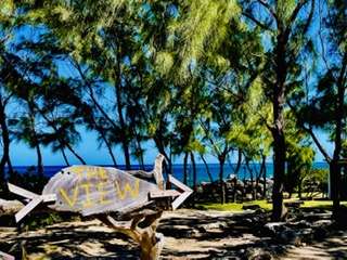 Pink Sand Beaches in Barbados: Bathsheba Beach