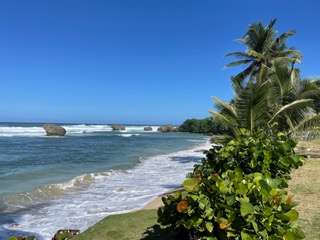 Pink Sand Beaches of Barbados: Bathsheba Beach