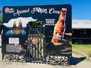 Beaches of Barbados: Animal Flower Cave