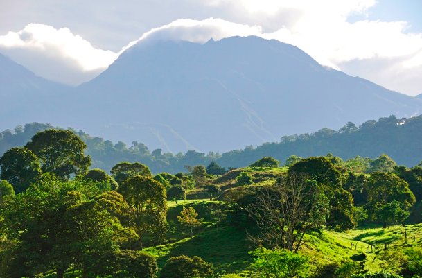 With bright green grass and darker trees in the foreground, the silouetted mountain has clouds at the top showing where the rainforest is located in Panama
