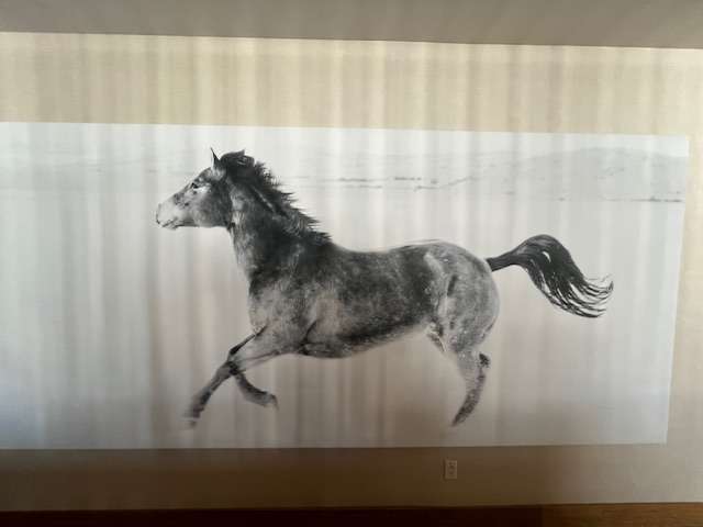 Best Brunch Park City Picture of Gracie the horse that was saved