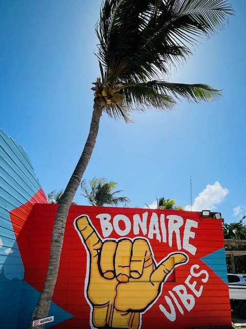 Red Bonaire Vibes sign featuring a hang ten painting of a hand in front of a palm tree blowing in the wind