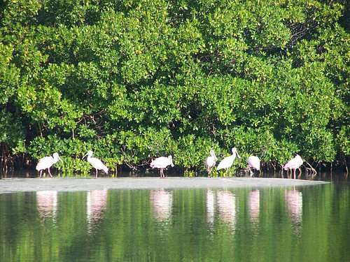 Bonita Springs Airport - Beach Scene