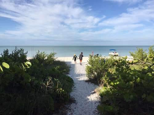 Cos’s Travel Guide