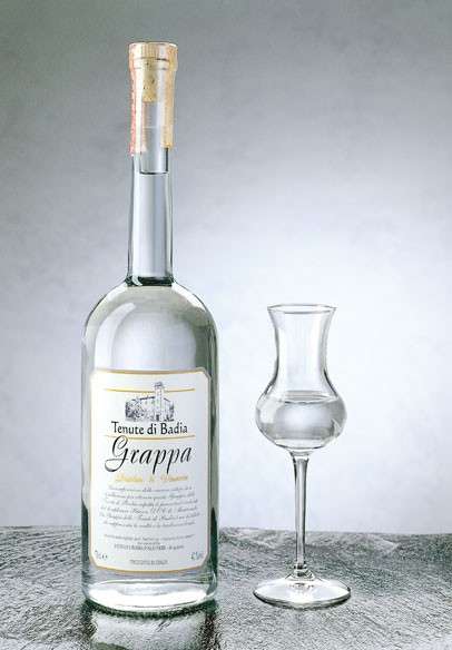 Grappa Wine: A developed taste